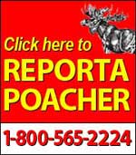 Report A Poacher